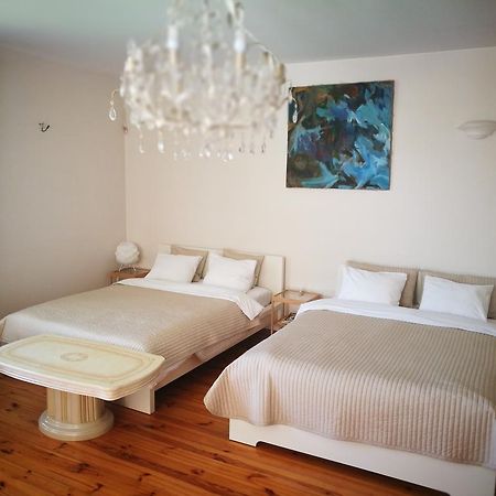 מלון וילנה Irena Family House מראה חיצוני תמונה